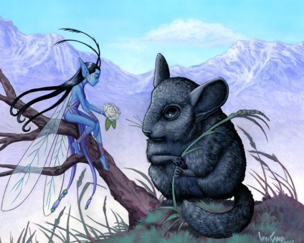 Шиншилла рисунок