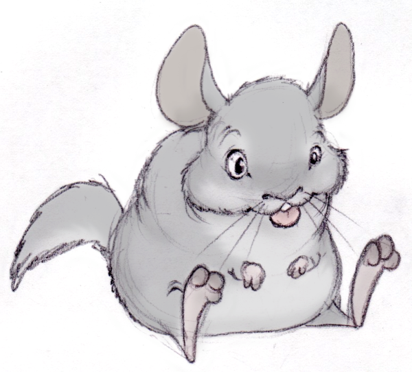 Анимешные шиншиллы