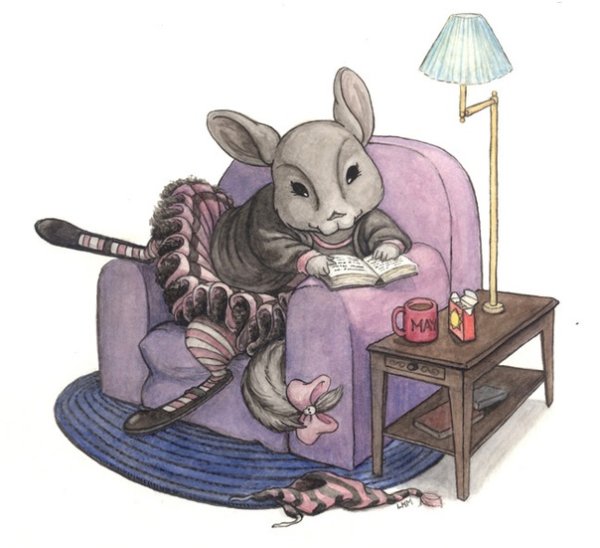 Шиншилла Инь Янь