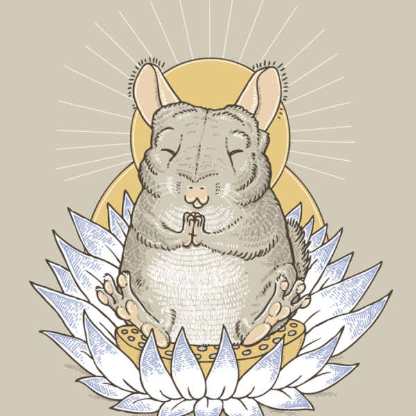 Шиншилла мультяшная