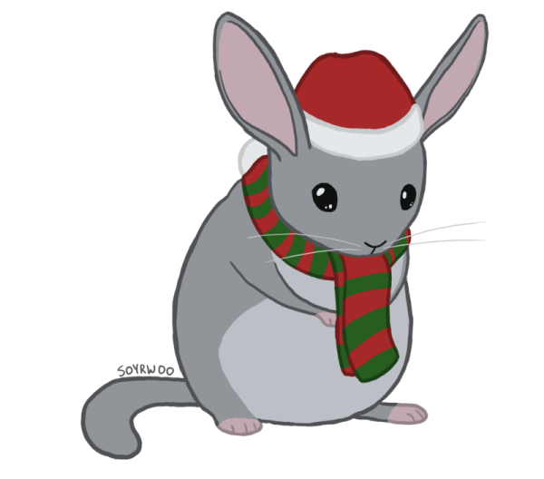 Шиншилла стилизация