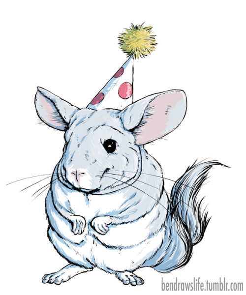 Шиншилла рисунок