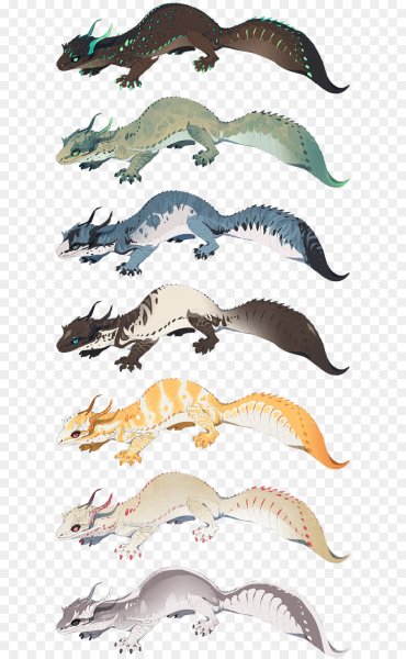 Эублефар дракон