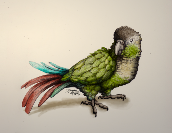 Милый попугайчик арт