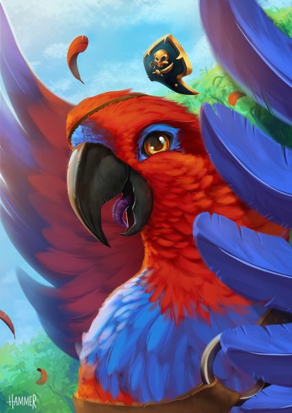 Арты попугаев