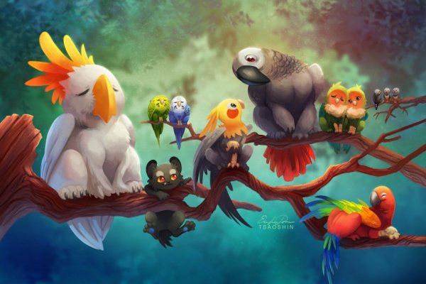 Аниме попугай