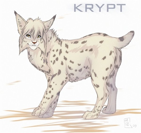 Рысь в стиле аниме