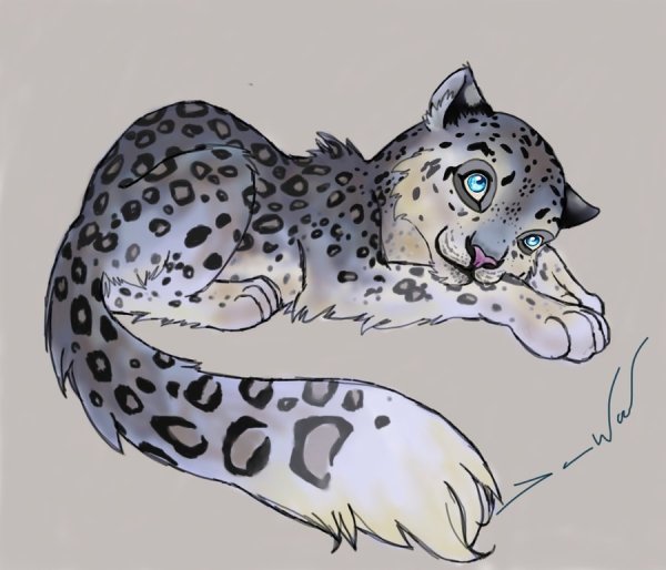 Фурри снежный Барс