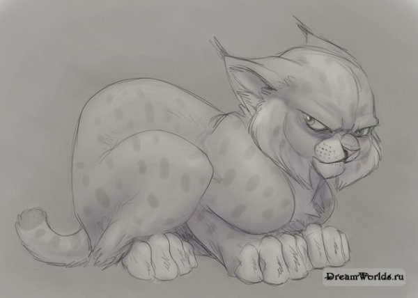 Фурри кот карандашом