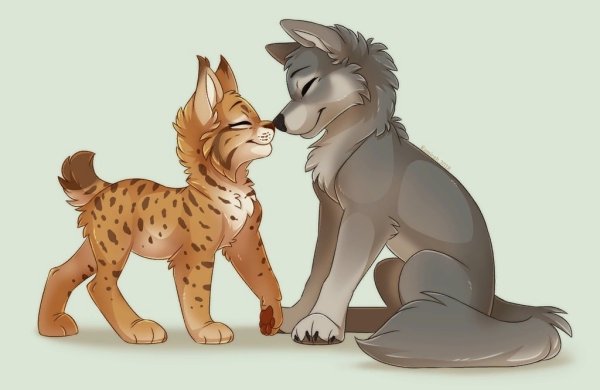 Фурри кошки и собаки