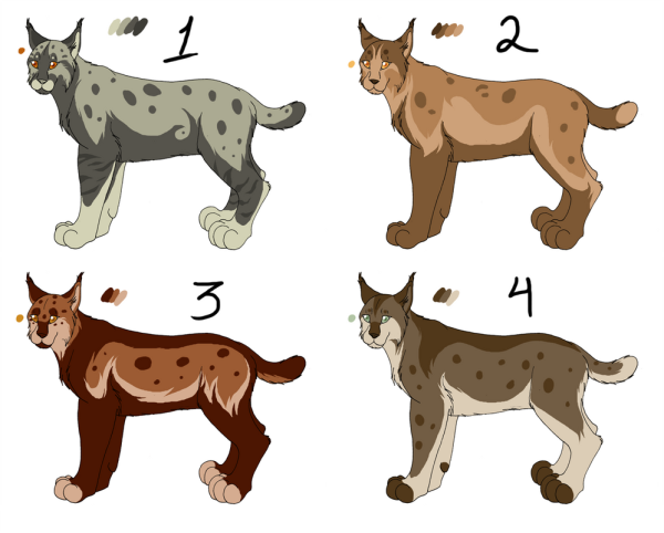 Рысь Воители референс