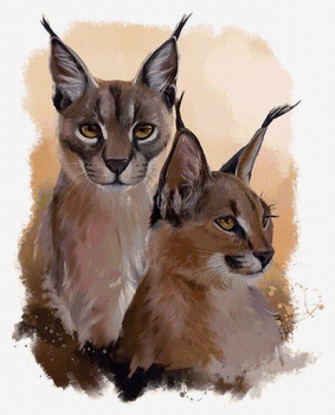 Каракал вайлд крафт