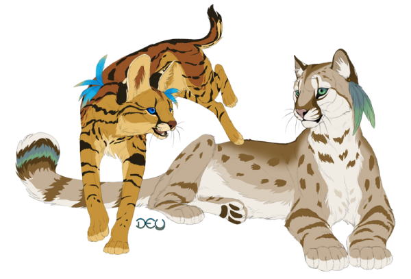 Коты Воители снежный Барс