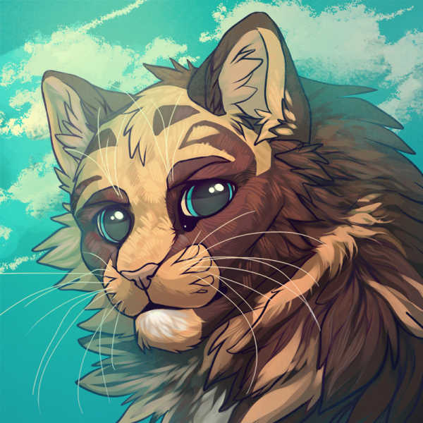 Коты Воители Рысь