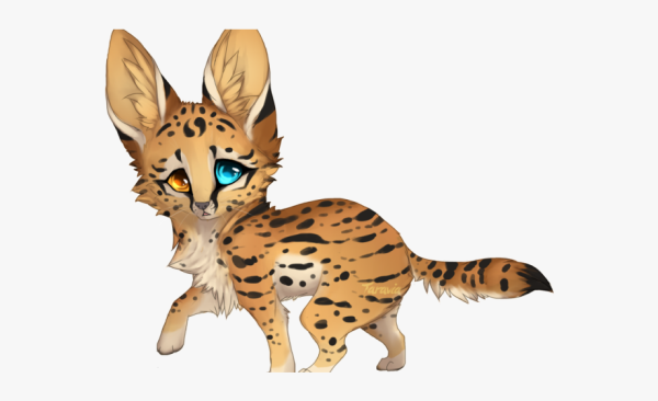 Саванна кошка гепард