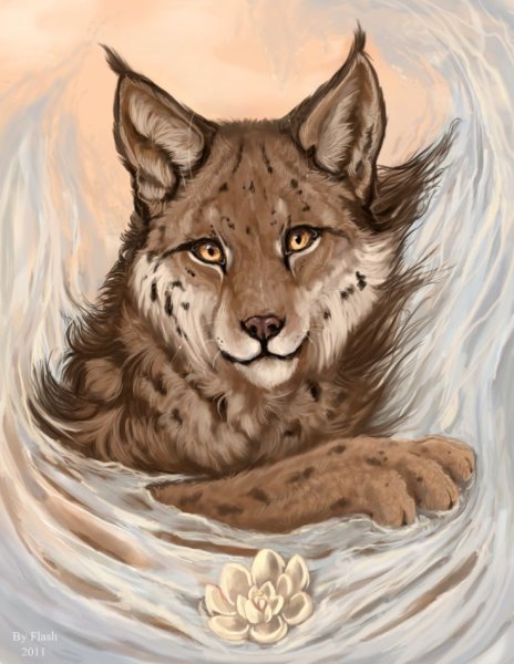 Рысь WILDCRAFT Art