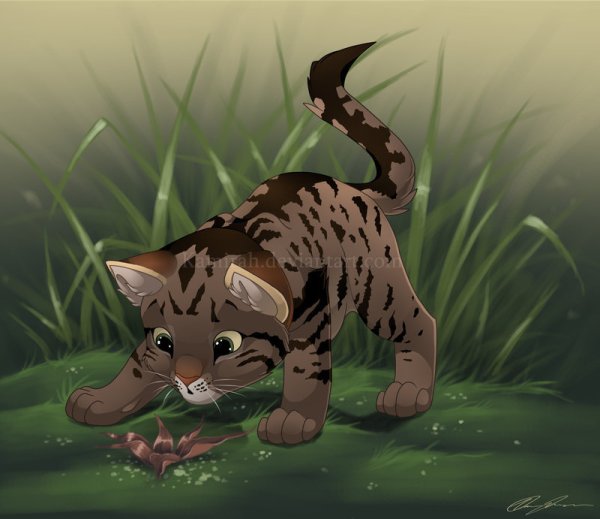 Коты Воители рысёнок