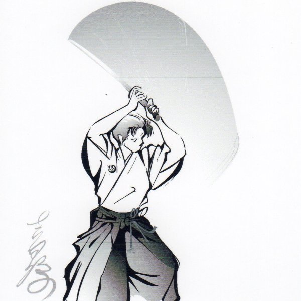 Самурай айкидо арт