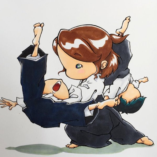 Айкидо аниме