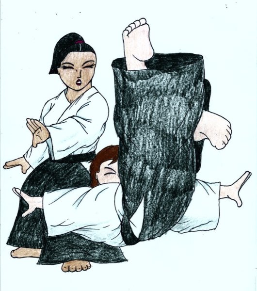 Мультфильм айкидо