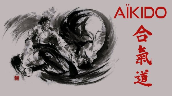 Aikido Beauty poster