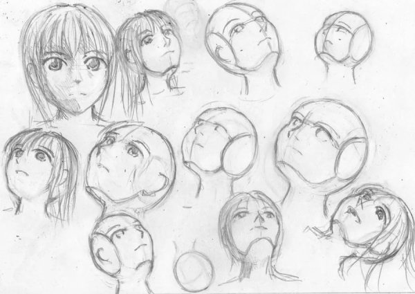 Рисование приподнятая голова