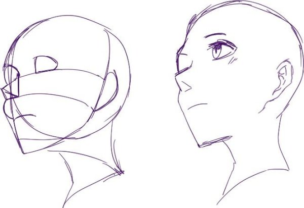 Ракурсы головы аниме