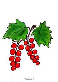 Смородина красная