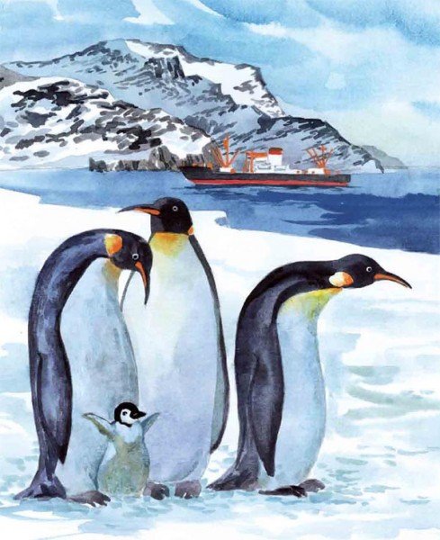 Нарисовать Антарктиду