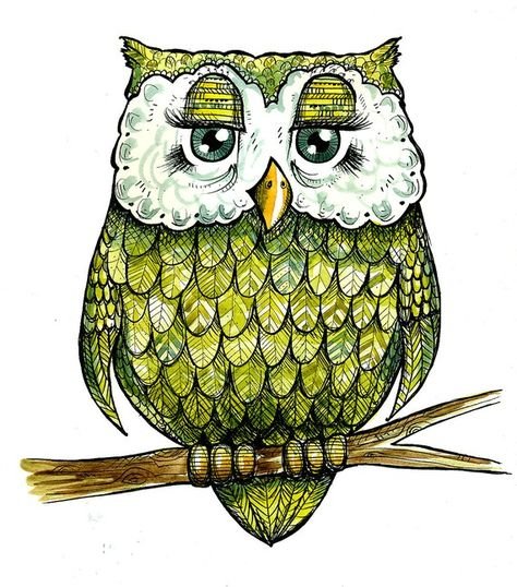 Сова раскраска для детей