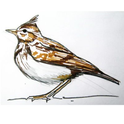 Иллюстрация к романсу Жаворонок