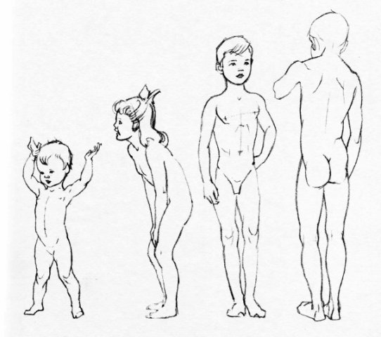 Анатомия ребенка для художников