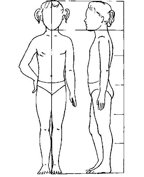 Пропорции детей для рисования