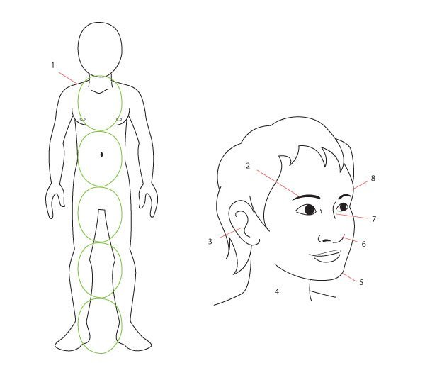 Поэтапное рисование тела человека для детей