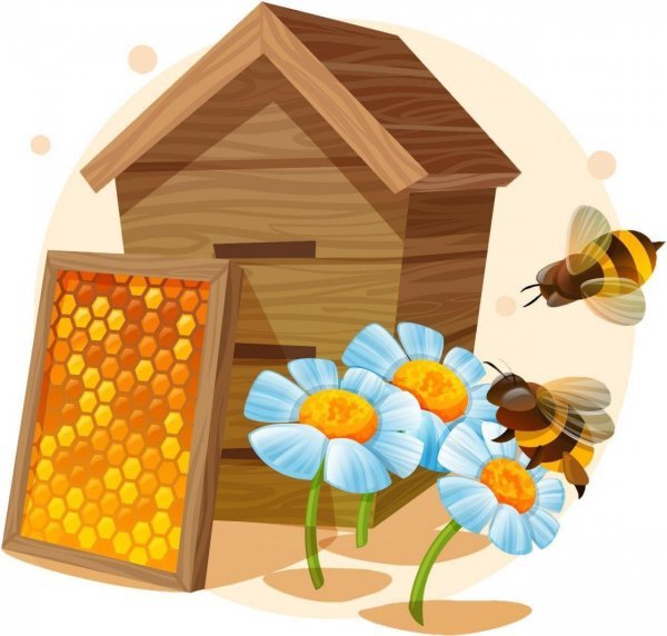 Улей для детей