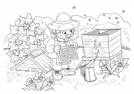 Раскраска пасека