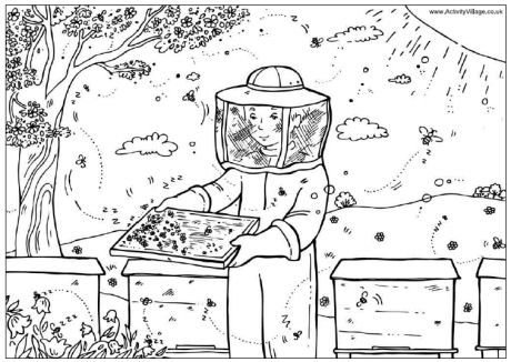 Пасека раскраска для детей