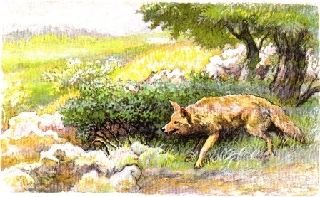 Чинк 1992 мультик