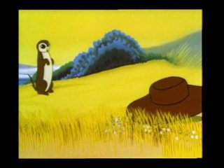 Чинк Сетон-Томпсон