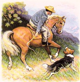 Сетон Томпсон Виннипегский волк