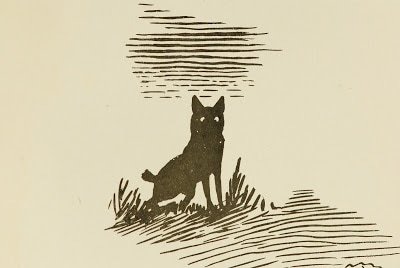 Сетон собака