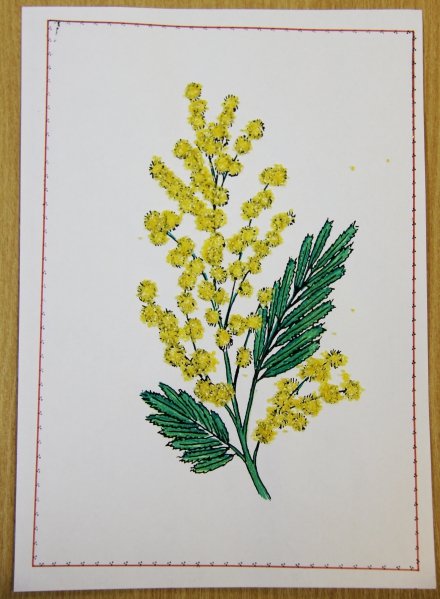 Ветка мимозы для рисования