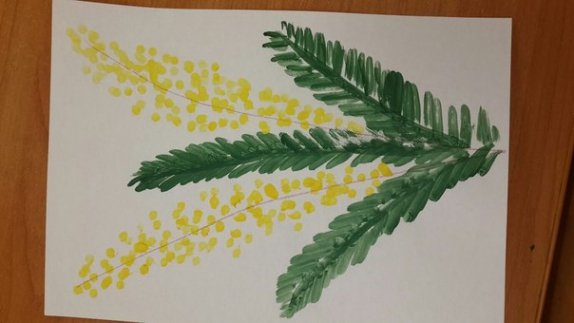 Ветка мимозы для рисования