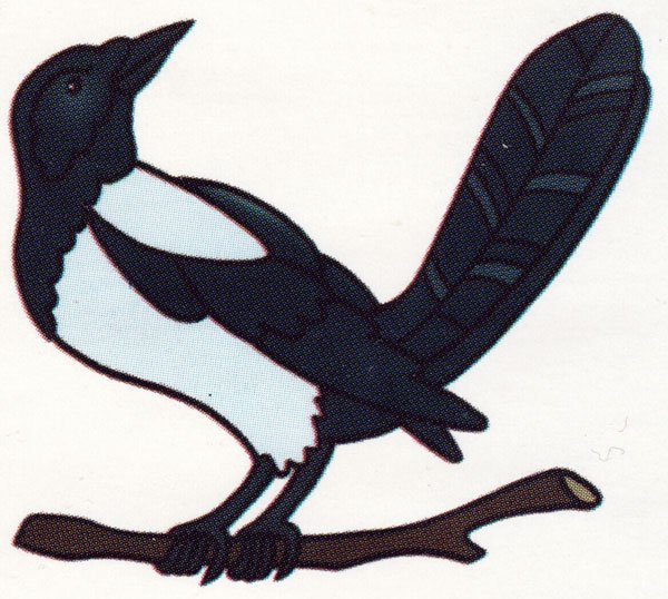 Сорока для раскрашивания