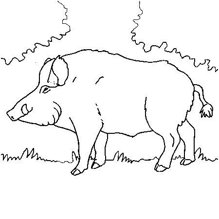 Кабан мультяшный