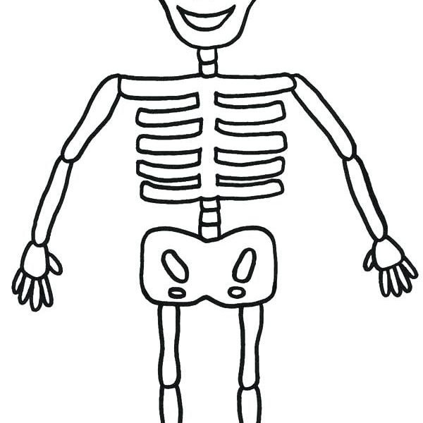 Раскраска скелет человека для детей