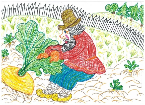 Репка рисунок карандашом