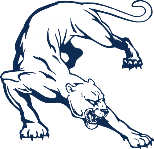 Рисунок пантеры карандашом для срисовки