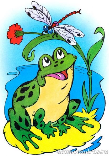 Жаба лягушка квакушка