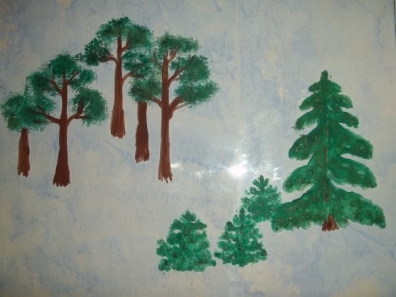 Хвойные деревья акварелью